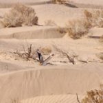 نام این پرنده چیست؟